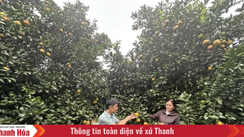 Điền Lư đưa nghị quyết đại hội Đảng vào cuộc sống