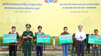 Trao tặng bò giống cho các hộ dân hai bên biên giới Việt Nam – Campuchia