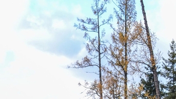 Tân Cương: Hành trình tự lái 2.500km qua mùa giao thoa