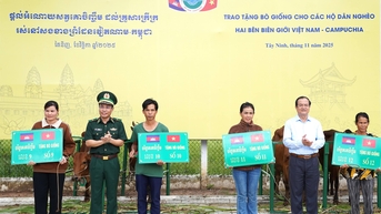 ផ្តល់គោចិញ្ចឹមដល់គ្រួសារនៅតំបន់ព្រំដែន