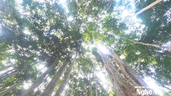 Thời tiết Nghệ An ngày 9/11: Mây thay đổi đến nhiều mây, có mưa rào rải rác