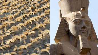Tìm được 2.000 đầu cừu tại đền thờ Ramses II hé lộ bí mật cổ xưa