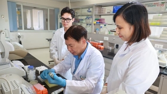 ពូជរុក្ខជាតិ៖ ពីកន្ទក់ដល់ឋានៈជាតិ