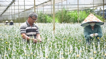 ឡាំដុងកំពុងឆ្ពោះទៅរកកសិកម្មពហុខ្សែសង្វាក់ពណ៌បៃតង។