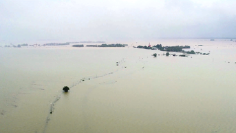 Vùng Càng mùa nước bạc