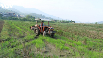 Chuyện những đảng viên tiên phong "không cho đất nghỉ" ở rốn lũ Lào Cai