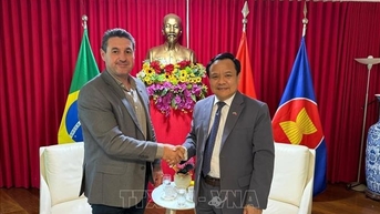 Việt Nam và Brazil thúc đẩy hợp tác đa lĩnh vực
