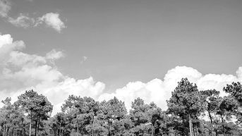 “Đà Lạt thu nhỏ” giữa lòng Chí Linh