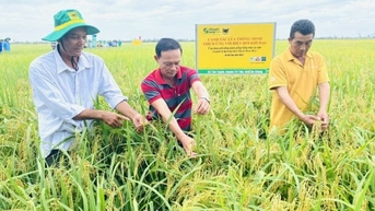 Từ hạt phân xanh đến nền nông nghiệp số hóa