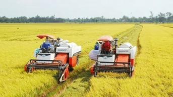 IFAD និងវៀតណាមកសាងមជ្ឈមណ្ឌលកសិកម្មបៃតងក្នុងតំបន់