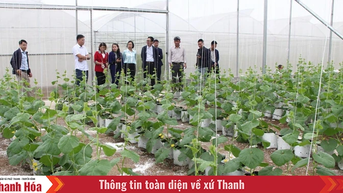 Dấu ấn nông nghiệp hiện đại