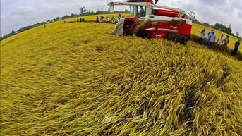 Nông nghiệp Việt Nam từ bệ đỡ đến động lực phát triển mới