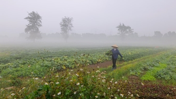 Miền Bắc xuất hiện nồm ẩm bất thường giữa tiết lập đông