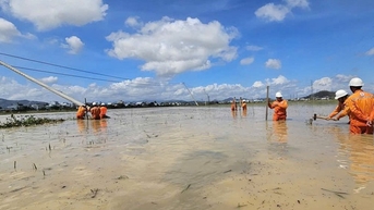 Tăng cường thêm 1.000 nhân lực khẩn trương khôi phục lưới điện tại Gia Lai, Đắk Lắk sau bão Kalmaegi