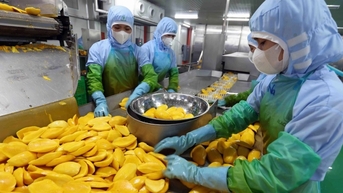 Tư tưởng Hồ Chí Minh về doanh nhân và sự vận dụng vào phát triển kinh tế tư nhân