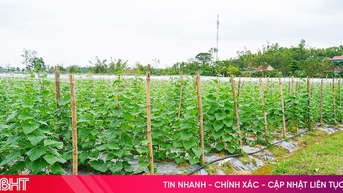 Quy định mới về tính tiền sử dụng đất khi cấp giấy chứng nhận