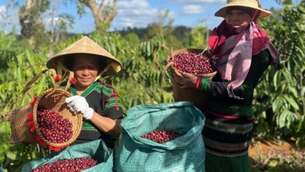 ទីតាំងនៃវិស័យកសិកម្មរបស់វៀតណាមក្នុងបរិបទសមាហរណកម្ម