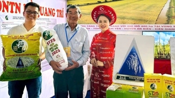 Gạo ST25 của Việt Nam lần thứ 3 được vinh danh “Gạo ngon nhất thế giới”