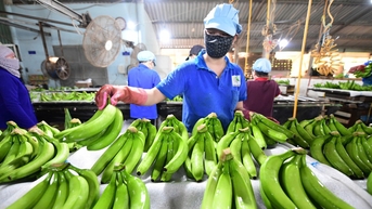 Hướng tới tương lai xanh, thịnh vượng