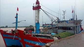 Theo dõi chặt chẽ tàu, thuyền đang hoạt động trên biển trước bão Fung-wong