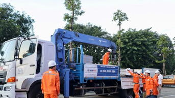Tăng cường 1.000 cán bộ, kỹ sư, công nhân khôi phục lưới điện tại Gia Lai, Đắk Lắk sau bão