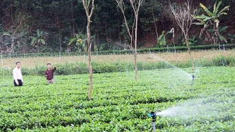 Công tác tín dụng chính sách xã hội góp phần quan trọng vào mục tiêu giảm nghèo bền vững