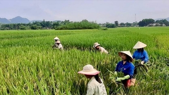Thanh Hóa tạo sinh kế, khơi dậy ý chí thoát nghèo