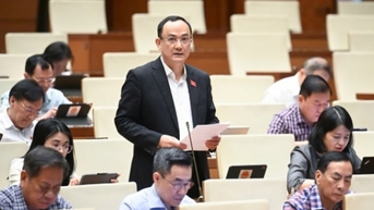 Nông nghiệp và môi trường có vai trò chiến lược trong kỷ nguyên xanh