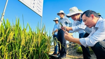 Phát triển trồng trọt bền vững: Từ nhận thức đến hành động xanh