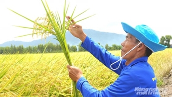 ពី​តំបន់​ទុរ្ភិក្ស​ត្រូវ​សុំ​ជំនួយ​ស្បៀង​អាហារ​ដល់​ក្រប​ស្រូវ​ទាំង​មូល