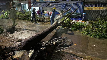 Xã Phú Giáo (TPHCM): Mưa lớn, cây ngã ngổn ngang trên đường