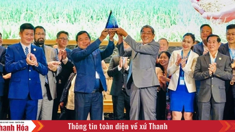 Gạo ST25 của Việt Nam tiếp tục thắng giải gạo ngon nhất thế giới