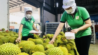 Xuất khẩu nông sản 100 tỷ USD: Khát vọng và hành trình của ngành nông nghiệp Việt