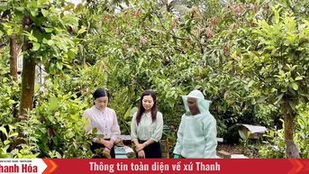 Hóa Quỳ đưa nghị quyết vào cuộc sống