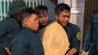 Cây xanh kéo ngã cột điện, đè xe máy trong dông lốc tại Phú Giáo, TP.HCM