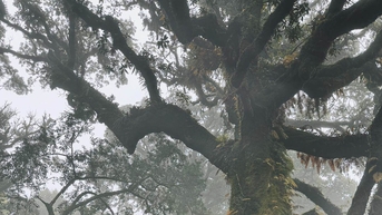 Sa Mu: Chinh phục đỉnh núi 2.756m giữa mây trời Tây Bắc