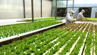 Bình Phước xây dựng nông thôn thông minh
