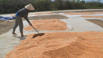 Nông thôn mới - chương trình của cả hệ thống chính trị