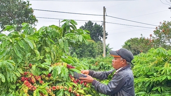 Ông Y Drim Ktul hết lòng vì buôn Buôr