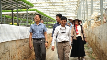 Bổ sung nhà thầu dự án cải thiện cơ sở hạ tầng phát triển nông nghiệp