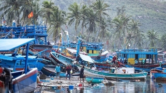 ស្ដារ​ផលិតកម្ម​ជា​បន្ទាន់​ក្រោយ​ព្យុះ