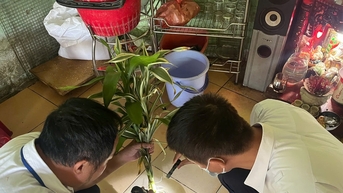 ការ​ដាក់​ពង្រាយ​វិធានការ​ជា​ច្រើន​ដើម្បី​បង្ការ​ជំងឺ​គ្រុន​ឈាម