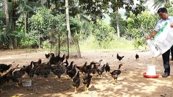 Tín dụng chính sách giúp phát triển kinh tế xóa đói, giảm nghèo bền vững tại Gia Lai