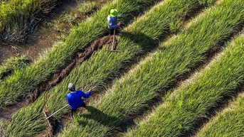 មតិយោបល់លើឯកសារសមាជបក្សលើកទី១៤៖ ការកសាងមូលដ្ឋានគ្រឹះដ៏រឹងមាំសម្រាប់វៀតណាមបៃតង និងឌីជីថល