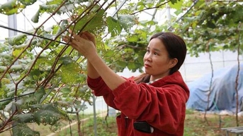 Phát triển du lịch cộng đồng, dịch vụ và bảo tồn giá trị văn hóa góp phần nâng cao đời sống người dân vùng biên