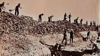 អព្ភូតហេតុ​នៃ​ការ​កម្ចាត់​ជាតិ​អាស៊ីត និង​ប្រៃ ធ្វើឱ្យ​តំបន់ Dong Thap Muoi រស់​ឡើង​វិញ។