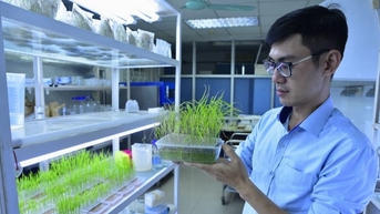 Cần một 'hệ sinh thái chính sách' cởi mở hơn cho khoa học