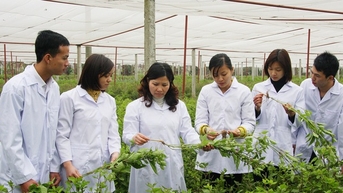 បំពេញក្របខ័ណ្ឌច្បាប់សម្រាប់ការអភិវឌ្ឍន៍ឱសថបុរាណវៀតណាមក្នុងសមាហរណកម្មអន្តរជាតិ