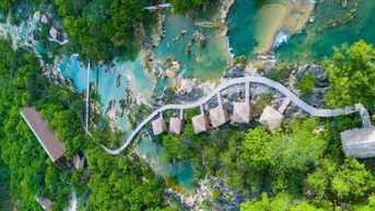 World Land Trust hỗ trợ phục hồi động vật hoang dã tại Quảng Trị