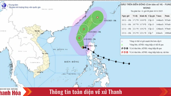 Công điện của Chủ tịch UBND tỉnh về việc chủ động ứng phó với bão số 14 năm 2025